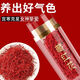 北京同仁堂【特级真品】正宗伊朗藏红花泡水喝泡茶野生中药材滋补养生藏红花 【特级】真品藏红花[发1罐]