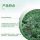 Syngenta Ruifan 23.4% Diacetate Grape Downy Mildew Late Blight Downy Phytophthora Fungicide 10ml*1 bag