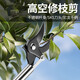 High-altitude pruning shears telescopic pole stainless steel pruning high-branch fruit trees pruning branches special scissors 8 1 upgraded stainless steel reinforced rod