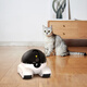 
Guangchun pet surveillance camera movable surveillance smart 4g plug-in camera home mobile phone remote pet robot cat companion pet monitor