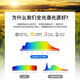 欧普（OPPLE）家居客厅吸顶风扇灯简约现代卧室智能电扇灯新款花型全光谱大 D款黑色全光谱Ra9767*44cm无极