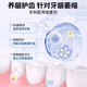 Special toothpaste for gingival atrophy toothpaste for loose teeth and tooth repair severe gingival atrophy repair regeneration spray GT [Strong combination] morning and evening match, spray one brush