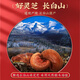 Conggyingdui tongrentang ganoderma lucidum Споры масла Мягкие капсулы разбивают стену ганодерму Lucidum Spore Powder Esxtract Высокие тритерпены для усиления иммунитета