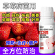Gengfengwang strawberry disease special strawberry treatment medicine, downy mildew, powdery mildew, anthracnose, root rot, gray mold, leaf spot, fruit rot 500ml (30 acres)