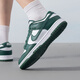 
Nike (NIKE) men's shoes, new summer sports shoes, DUNK LOW trendy and fashionable low-top shoes, wear-resistant and breathable casual shoes, DD1391-101 42