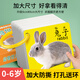 Yisirui Early Education Color Card Baby Children's Cognitive Card 0-1-3 Years Old Animals Recognition Numbers Look at Pictures and Objects Baby Toys