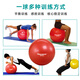 Theratools Pasteur Ball Rehabilitation Training Yoga Ball 55cm Balance Ball Explosion-proof Fitness Adult Pregnant Women Dragon Ball Children's Sensory System Silver Professional Model 85cm Suitable for Sensory Training