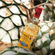 Los seis principales vinos principales de Aubeck, cócteles de bricolaje y vinos extranjeros, brandy de whisky, vodka, tequila, botellas de ginebra importadas [ocho vinos base principales] 8 botellas de regalos