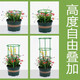 易美锦花架子室内家用爬藤架火龙果月季蟹爪兰绿萝太阳花植物爬藤支撑杆 五层口径20厘米高1米 15支 中等
