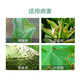 Bonsec 40% benzopyrazole citrus grape fruit trees vegetables flowers brown leaf spots rust powdery mildew pesticide fungicide