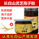 
Beijing Tongrentang [Official Authentic] Ganoderma lucidum spore powder Changbaishan Jilin specialty Toudaoji [Flagship Quality] 250g [Blue hat broken wall spore powder] Give 1 Ganoderma lucidum