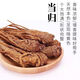 Angelicae Minxian authentic sulfur-free whole root Angelicae wholesale wild whole Angelicae Chinese medicinal materials Angelicae 500g