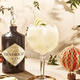 Hendrick's Gin Gin Base Wine Scottish Wine Original Bouteille importée Sir Hendrick's Gin 1000ml 1 Bouteille
