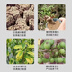 Soil loosening agent, loosening essence, no deep tillage, soil activator, universal fertilizer, imported raw materials, 100 times more effective. 1 Jin Jin is equal to 0.5 kg.