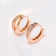 DL 1998 Fat Donglai same style 18k rose gold earrings fashionable silver needle small hoop earrings 2022 new rose gold