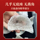 
Zuoliang bird's nest dried bird's nest, imported bird's nest for pregnant women, bird's nest, bird's nest, natural bird's nest nutritional supplements, 30 grams of stewed bird's nest gift box [about 10 cups]