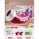 Mama Baby Twin Baby Children's Toys Multi-function Animal Assembly Number Thorn Whistle Animals Can Blow the Horn 2025 Birthday Gift