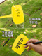 Shipton bevel large ground brand gardening label gardening sign plant sign ground sign mark card 50 slope mixed color 50 pcs five colors 10 each