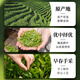 The first Jiangnan Green Tea Longjing Special Grade 200g2025 New Tea Mingqian Tea Gift Box Spring Tea Tender Sprouts Qingxin High-end Gift Gift