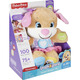 Fisher-Price Infant Toys Smart Stage Interactive Plüschhund mit Musikbeleuchtung und Lerninhalt 6 Monate + FDF22