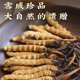 Kangyuan Tibetan grassland Cordyceps high-altitude dry goods Cordyceps health supplements gifts for parents, elders and colleagues high-end gift boxes, 3 sticks per gram, 50 grams [Exclusive gift box]