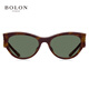 Bolon Tyrannosaurus Lunettes Cat Eye Sunglasses 25 nouveaux produits
