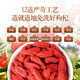 Qi You Selected Special Grade Ningxia Red Wolfberry Non-Fumigation No-Stainless Sulphur No-Stainless Health Nutrition New Goods Wolfberry Tea Gougu Ji Tea 500g Canned Non-Fumigation Non-Sulphur Special Grade Ningxia Red Wolfberry