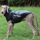 Super resistant dog clothes in winter large dog warm golden collie Doberman clothes 2025 windproof snowproof cotton coat reflective-glare blue 4XL size (bust 72 back length 57)