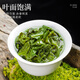 音朗乌龙茶叶 安溪铁观音 2025新茶春茶正宗兰花香清香高山茶罐装120g