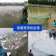 Yujiacheng weighted thickened fishing net fishing net partition net seine clear pond fish net drag fish net scraper fish net 3 finger eye clinker 12 strands 2 meters high 10 meters long suitable for water depths below 70 cm