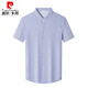 皮尔卡丹（pierre cardin）高档桑蚕丝短袖衬衫男士2025夏季商务正装条纹冰.丝无痕衬衣男装 9195灰蓝 2XL 180建议155-175斤