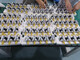 
Planetary speed increaser 36 dual-axis gear box Accelerator can use speed increase and deceleration Steel gear batch 15. 1391 input 6 speed reduction milling 1mm