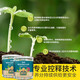 Dewoduo engrais à libération lente universel 500g * 2 jardinage en pot plante verte engrais pour fleurs engrais composé organique végétal engrais d'enracinement azote, phosphore et potassium