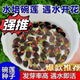 Bowl of lotus seeds, colorful hydroponic flowers, water-grown four-season lotus, lotus seeds, lotus root green water plants, mixed-color bowl of lotus seeds, budding when exposed to water, blooming in all seasons, 100% budding, 10 capsules, multi-color mixed, already opened