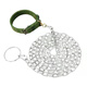 Rabbit dog chain, traction rope, anti-biting iron chain, large dog collar, dog walking rope, small Corkin German shepherd dog, iron chain 3 mm thick (recommended 18-40 Jin Jin equals within 0.5 kg), 1.5 meters long