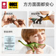 babycare&bctoys仿真恐龙套装模型益智儿童玩具男女孩生日礼物-6只装