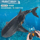 Submarine remote control shark with camera to sway the megalodon model electric children's toys for men Black mechanical APP remote control + camera comes standard with a set of batteries
