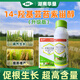 14-Hydroxybrassinosteroid alleviates phytotoxicity, prevents cold and freeze-resistant rice plant crop growth regulator, 60 packs, 10ml, add 30Jin of water per pack, equal to 0.5kg