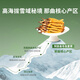 Ayishe Wild Cordyceps sinensis 0,5-0,6 g/100 Wurzeln frischer Cordyceps sinensis in Nagqu, Tibet direkt aus der Quelle