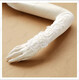 
Bone Burning New Autumn and Winter Wedding Dress Gloves Long Fingerless Embroidered Lace White Bridal Wedding Accessories Ivory White