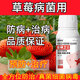 Gengfengwang strawberry disease special strawberry treatment medicine, downy mildew, powdery mildew, anthracnose, root rot, gray mold, leaf spot, fruit rot 500ml (30 acres)