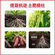 Jinzhengda amino acid-containing water-soluble fertilizer foliar fertilizer flush fertilizer garden fruit tree general fertilizer yellow leaf vegetable fertilizer amino acid liquid fertilizer 5L*1 seaweed fertilizer 1kg*1