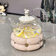 Xibaisheng tea set set of high-end gifts and light luxury teapot tea cup set for home living room kettle cups moving to a new home gift ceramics 1 cup 1 disc [1289] ordinary packaging