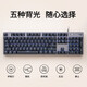 罗技（Logitech） K845 机械背光键盘 商务办公键盘 电竞游戏键盘 全尺寸有线键盘 K845有线键盘-青轴