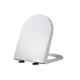 Farnza adapted to FB16821659161016681685169016511667 toilet lid E.1613 L.1667167916971610816