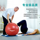 Theratools Pasteur Ball Rehabilitation Training Yoga Ball 55cm Balance Ball Explosion-proof Fitness Adult Pregnant Women Dragon Ball Children's Sensory System Silver Professional Model 85cm Suitable for Sensory Training