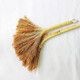 
Qindu Customized sorghum broom Sorghum broom Old style broom Broom Outdoor broom Worker Cleaning School JYHSN9742 Sorghum broom 1 G2S