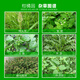 金帆达（JFD）757草甘膦铵盐草甘磷除草烂根剂荒地除杂草灭生性除草剂 2.5kg