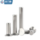 Guwanji 304 Edelstahl Counterunk Head Solid Niet GB869 Knock-on Flat Cone Head Massive Speer Nagel Großer National Standard M4x10 (50 Stück)