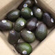 Beijing Orange Meijin Mexico imported fresh avocado fruit seasonal avocado fruit baby healthy and light food 8 medium fruits [100-130g single fruit]